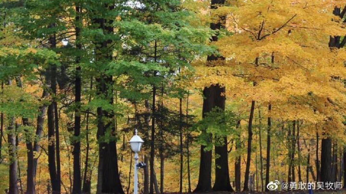 昨日社交推广一体化打造您的电商生态:安全、稳定与用户体验的平衡,女子回应新娘因高颜值被质疑